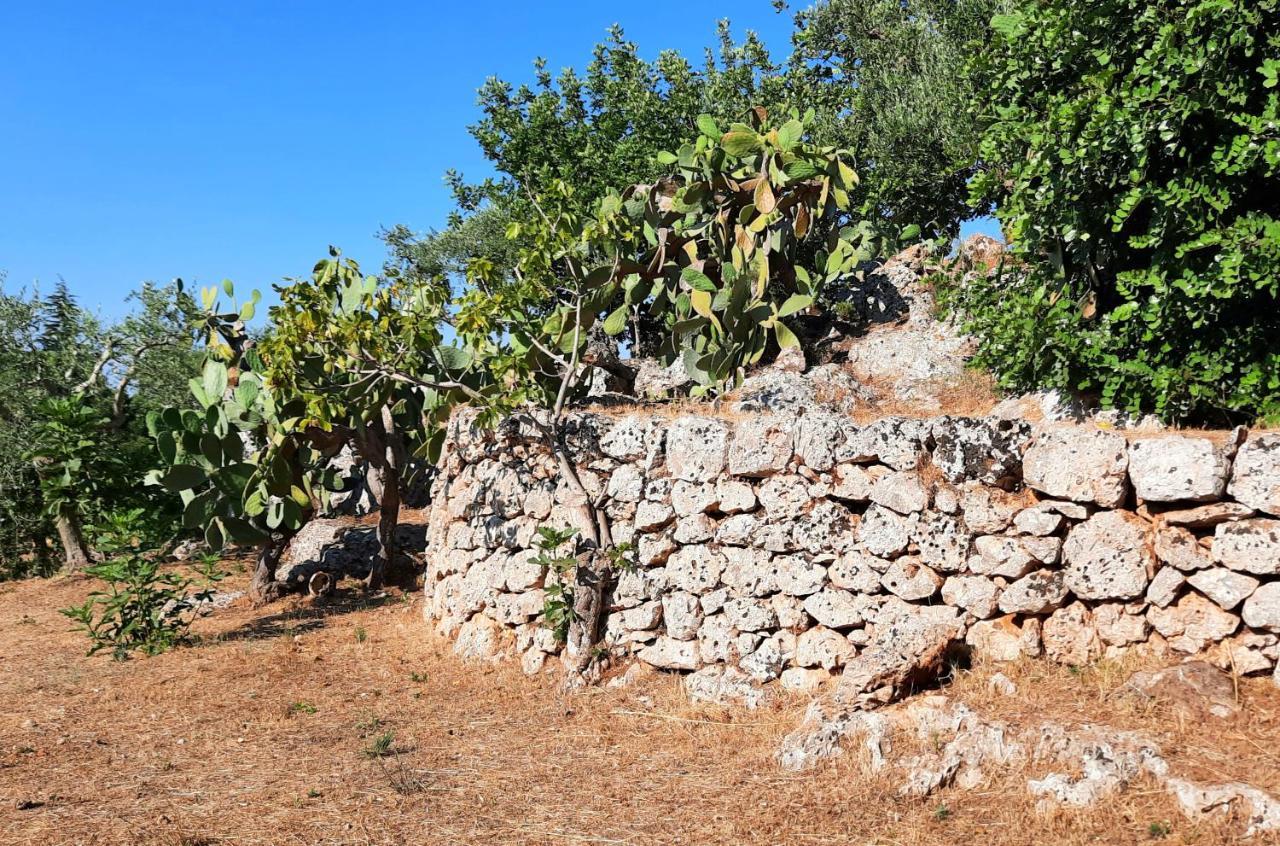 Villa I Due Carrubi Ostuni Exterior foto